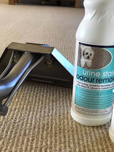 Sedgefield and Wynyard carpet, rug, sofa and upholstery cleaners