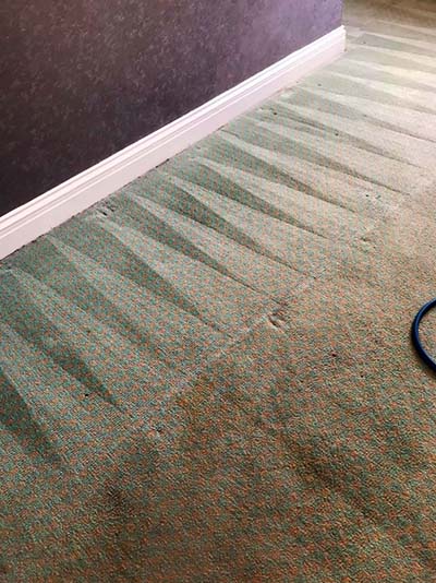 Sedgefield and Wynyard carpet, rug, sofa and upholstery cleaners