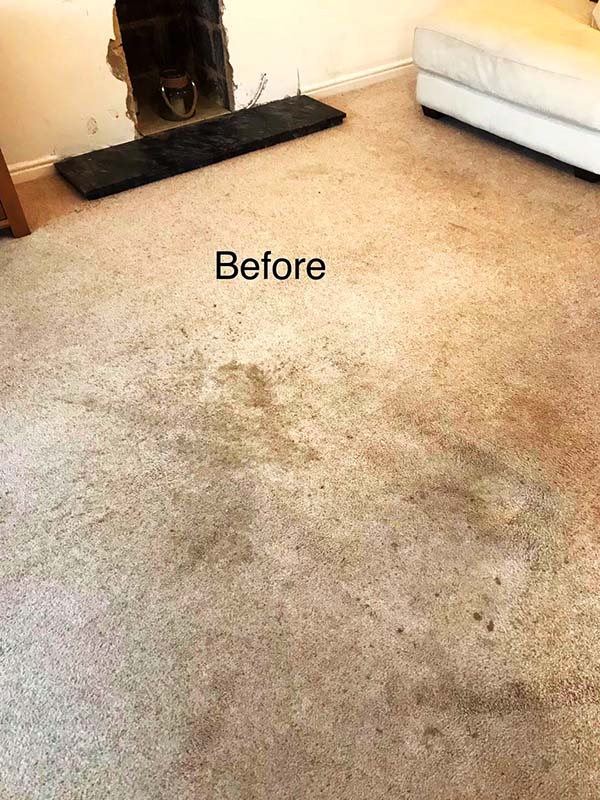 Sedgefield and Wynyard carpet, rug, sofa and upholstery cleaners