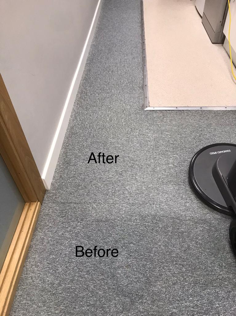 Sedgefield and Wynyard carpet, rug, sofa and upholstery cleaners