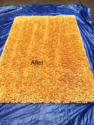 Sedgefield and Wynyard carpet, rug, sofa and upholstery cleaners